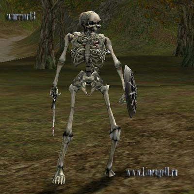 Skeleton Raider