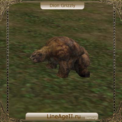Dion Grizzly