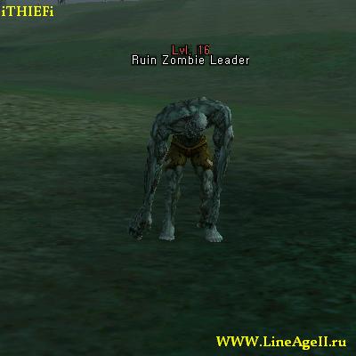 Ruin Zombie Leader