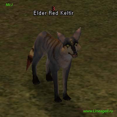 Elder Red Keltir